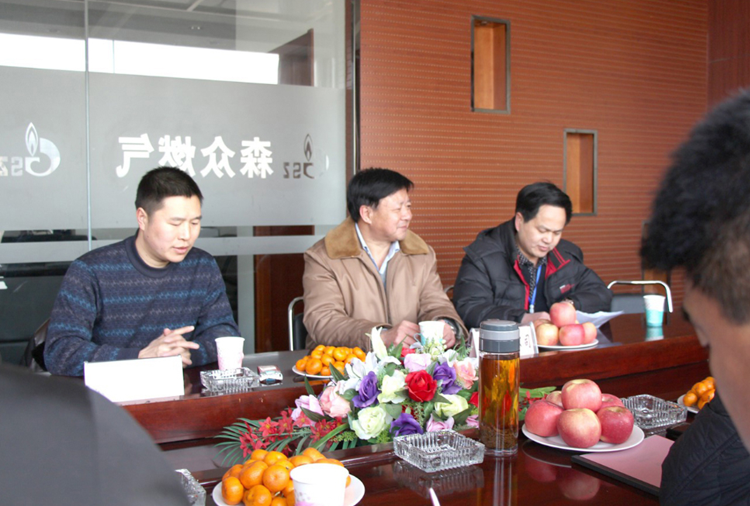 林口县政府与leyu乐鱼·官方web站登录入口-乐鱼(中国)燃气项目洽谈.png
